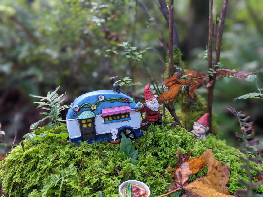 The Gnome Trail in Maple Valley, Washington: An Amazing Trail for Kids