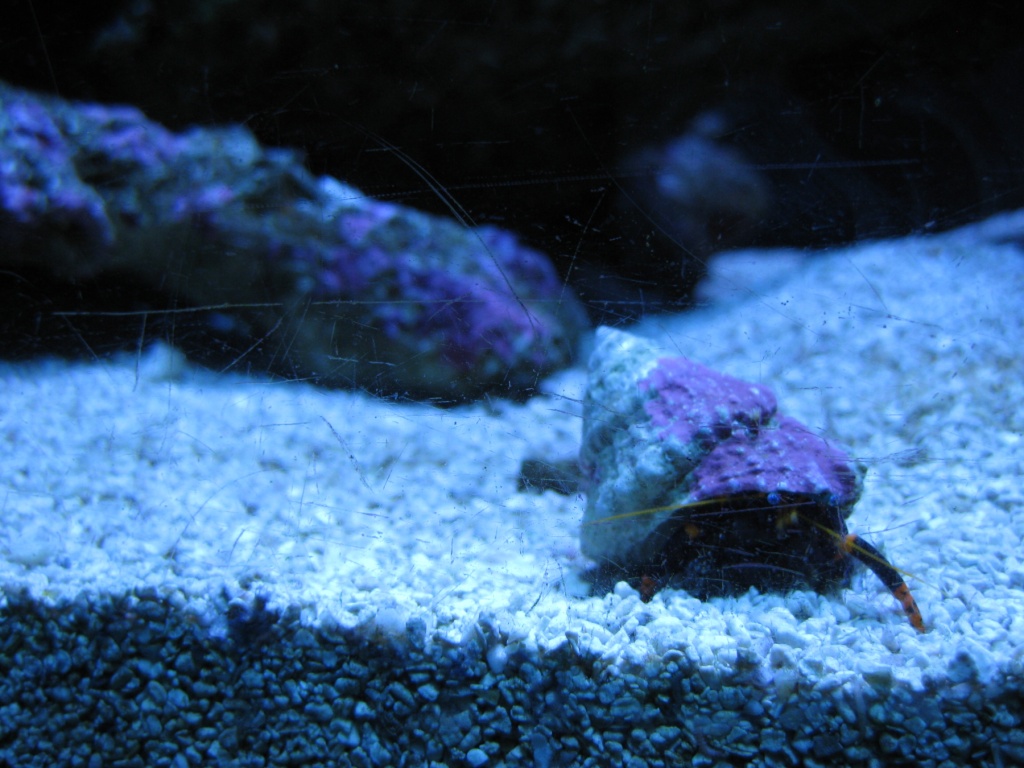 seattle aquarium